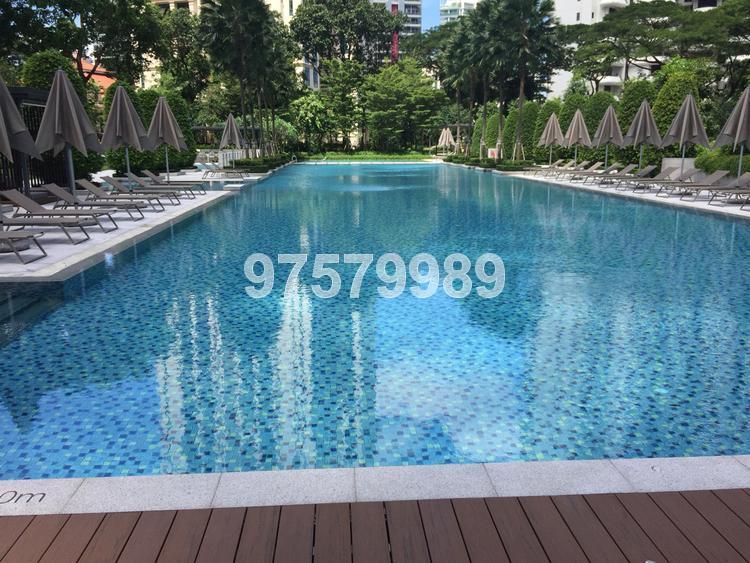 Gramercy Park (D10), Condominium #155424992